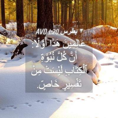 Picture 04 - ٢ بطرس 1:20 AVD - عَالِمِينَ هَذَا أَوَّلًا: - Bible Verse Picture