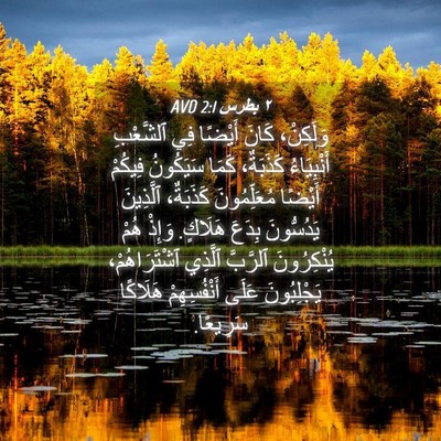 Picture 04 - ٢ بطرس 2:1 AVD - وَلَكِنْ، كَانَ أَيْضًا - Bible Verse Picture