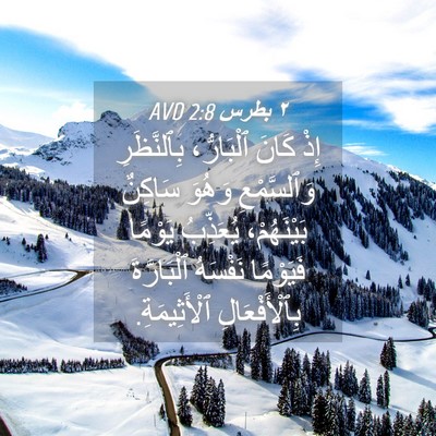 Picture 04 - ٢ بطرس 2:8 AVD - إِذْ كَانَ ٱلْبَارُّ، - Bible Verse Picture