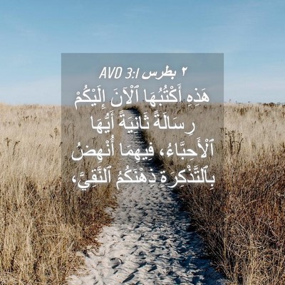 Picture 04 - ٢ بطرس 3:1 AVD - هَذِهِ أَكْتُبُهَا ٱلْآنَ - Bible Verse Picture