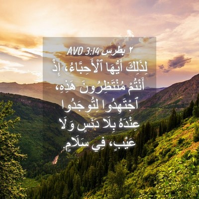 Picture 04 - ٢ بطرس 3:14 AVD - لِذَلِكَ أَيُّهَا - Bible Verse Picture