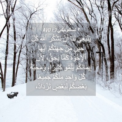 Picture 04 - ٢ تسالونيكي 1:3 AVD - يَنْبَغِي لَنَا أَنْ - Bible Verse Picture