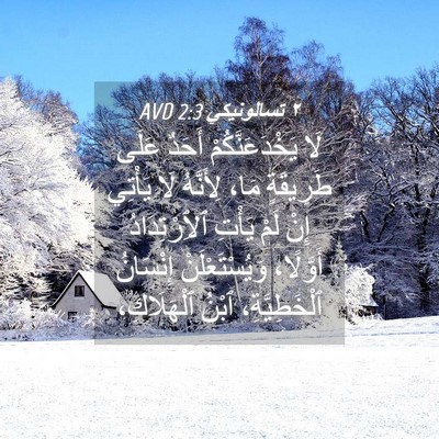 Picture 04 - ٢ تسالونيكي 2:3 AVD - لَا يَخْدَعَنَّكُمْ - Bible Verse Picture
