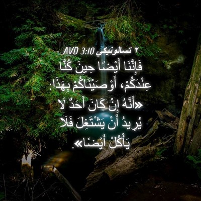 Picture 04 - ٢ تسالونيكي 3:10 AVD - فَإِنَّنَا أَيْضًا حِينَ - Bible Verse Picture