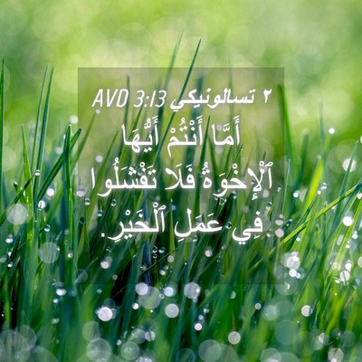 Picture 04 - ٢ تسالونيكي 3:13 AVD - أَمَّا أَنْتُمْ أَيُّهَا - Bible Verse Picture