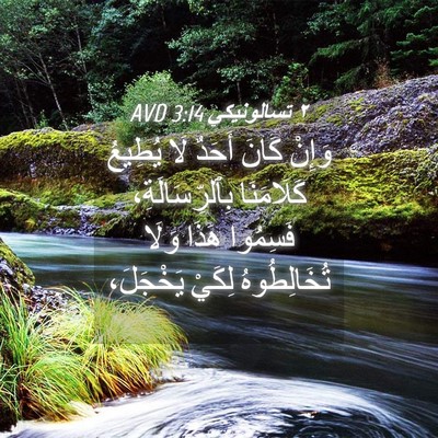 Picture 04 - ٢ تسالونيكي 3:14 AVD - وَإِنْ كَانَ أَحَدٌ لَا - Bible Verse Picture