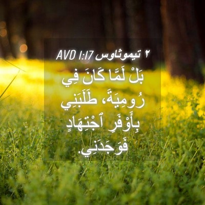 Picture 04 - ٢ تيموثاوس 1:17 AVD - بَلْ لَمَّا كَانَ فِي - Bible Verse Picture