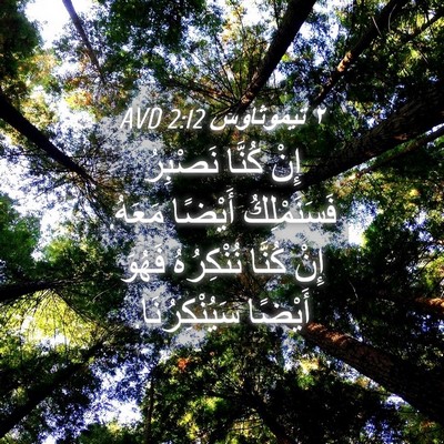 Picture 04 - ٢ تيموثاوس 2:12 AVD - إِنْ كُنَّا نَصْبِرُ - Bible Verse Picture