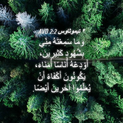 Picture 04 - ٢ تيموثاوس 2:2 AVD - وَمَا سَمِعْتَهُ مِنِّي - Bible Verse Picture