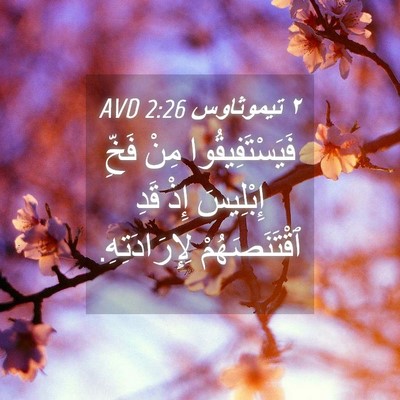 Picture 04 - ٢ تيموثاوس 2:26 AVD - فَيَسْتَفِيقُوا مِنْ - Bible Verse Picture