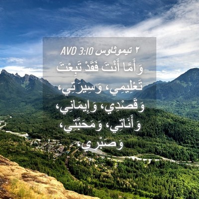Picture 04 - ٢ تيموثاوس 3:10 AVD - وَأَمَّا أَنْتَ فَقَدْ - Bible Verse Picture
