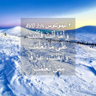 Picture 04 - ٢ تيموثاوس 3:14 AVD - وَأَمَّا أَنْتَ فَٱثْبُتْ - Bible Verse Picture