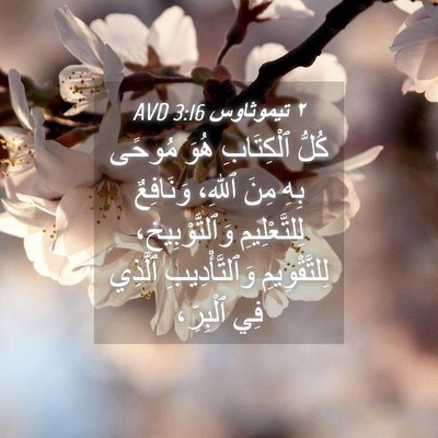Picture 04 - ٢ تيموثاوس 3:16 AVD - كُلُّ ٱلْكِتَابِ هُوَ - Bible Verse Picture