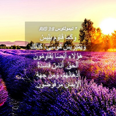 Picture 04 - ٢ تيموثاوس 3:8 AVD - وَكَمَا قَاوَمَ يَنِّيسُ - Bible Verse Picture