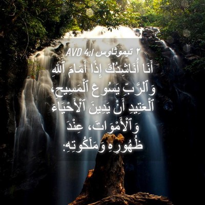 Picture 04 - ٢ تيموثاوس 4:1 AVD - أَنَا أُنَاشِدُكَ إِذًا - Bible Verse Picture