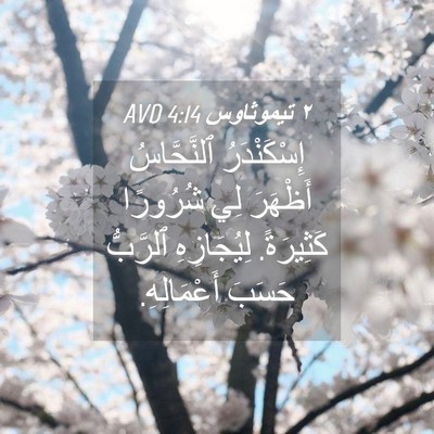 Picture 04 - ٢ تيموثاوس 4:14 AVD - إِسْكَنْدَرُ ٱلنَّحَّاسُ - Bible Verse Picture