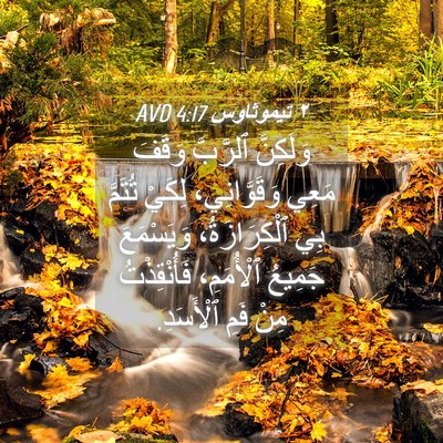 Picture 04 - ٢ تيموثاوس 4:17 AVD - وَلَكِنَّ ٱلرَّبَّ وَقَفَ - Bible Verse Picture