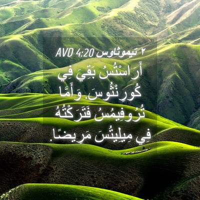 Picture 04 - ٢ تيموثاوس 4:20 AVD - أَرَاسْتُسُ بَقِيَ فِي - Bible Verse Picture