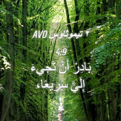 Picture 04 - ٢ تيموثاوس 4:9 AVD - بَادِرْ أَنْ تَجِيءَ - Bible Verse Picture