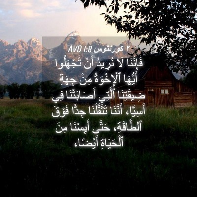 Picture 04 - ٢ كورنثوس 1:8 AVD - فَإِنَّنَا لَا نُرِيدُ - Bible Verse Picture