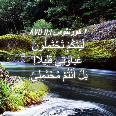 Picture 04 - ٢ كورنثوس 11:1 AVD - لَيْتَكُمْ تَحْتَمِلُونَ - Bible Verse Picture