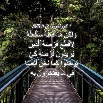 Picture 04 - ٢ كورنثوس 11:12 AVD - وَلَكِنْ مَا أَفْعَلُهُ - Bible Verse Picture