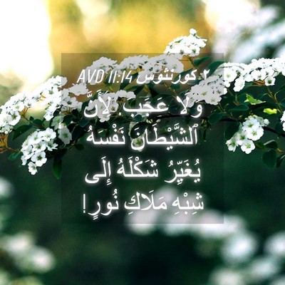 Picture 04 - ٢ كورنثوس 11:14 AVD - وَلَا عَجَبَ. لِأَنَّ - Bible Verse Picture