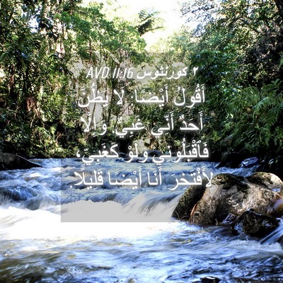 Picture 04 - ٢ كورنثوس 11:16 AVD - أَقُولُ أَيْضًا: لَا - Bible Verse Picture