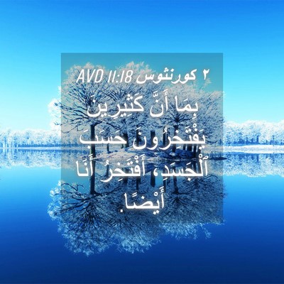 Picture 04 - ٢ كورنثوس 11:18 AVD - بِمَا أَنَّ كَثِيرِينَ - Bible Verse Picture