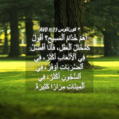 Picture 04 - ٢ كورنثوس 11:23 AVD - أَهُمْ خُدَّامُ - Bible Verse Picture