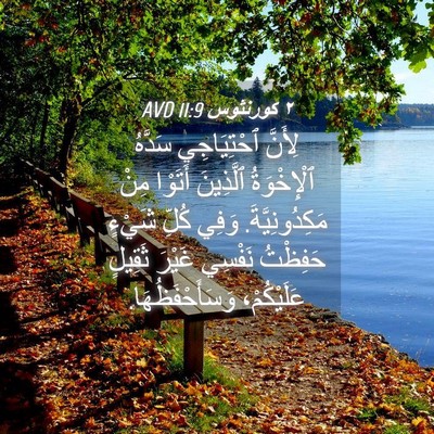 Picture 04 - ٢ كورنثوس 11:9 AVD - لِأَنَّ ٱحْتِيَاجِي - Bible Verse Picture
