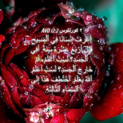 Picture 04 - ٢ كورنثوس 12:2 AVD - أَعْرِفُ إِنْسَانًا فِي - Bible Verse Picture