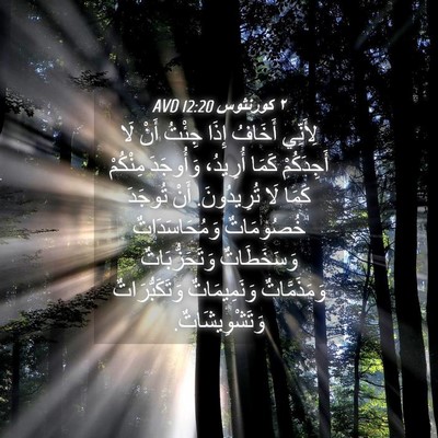 Picture 04 - ٢ كورنثوس 12:20 AVD - لِأَنِّي أَخَافُ إِذَا - Bible Verse Picture