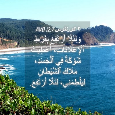 Picture 04 - ٢ كورنثوس 12:7 AVD - وَلِئَلَّا أَرْتَفِعَ - Bible Verse Picture