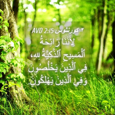 Picture 04 - ٢ كورنثوس 2:15 AVD - لِأَنَّنَا رَائِحَةُ - Bible Verse Picture
