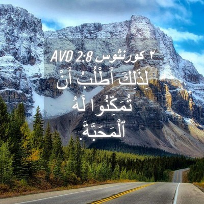 Picture 04 - ٢ كورنثوس 2:8 AVD - لِذَلِكَ أَطْلُبُ أَنْ - Bible Verse Picture