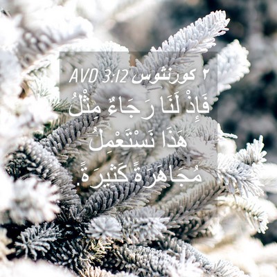 Picture 04 - ٢ كورنثوس 3:12 AVD - فَإِذْ لَنَا رَجَاءٌ - Bible Verse Picture