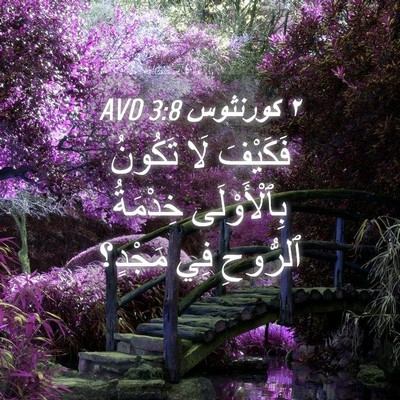 Picture 04 - ٢ كورنثوس 3:8 AVD - فَكَيْفَ لَا تَكُونُ - Bible Verse Picture