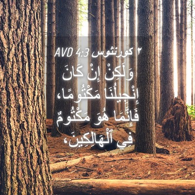 Picture 04 - ٢ كورنثوس 4:3 AVD - وَلَكِنْ إِنْ كَانَ - Bible Verse Picture