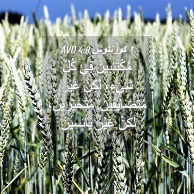 Picture 04 - ٢ كورنثوس 4:8 AVD - مُكْتَئِبِينَ فِي كُلِّ - Bible Verse Picture
