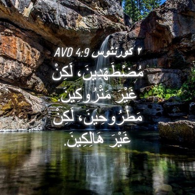 Picture 04 - ٢ كورنثوس 4:9 AVD - مُضْطَهَدِينَ، لَكِنْ - Bible Verse Picture