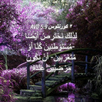 Picture 04 - ٢ كورنثوس 5:9 AVD - لِذَلِكَ نَحْتَرِصُ - Bible Verse Picture