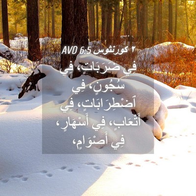 Picture 04 - ٢ كورنثوس 6:5 AVD - فِي ضَرَبَاتٍ، فِي - Bible Verse Picture