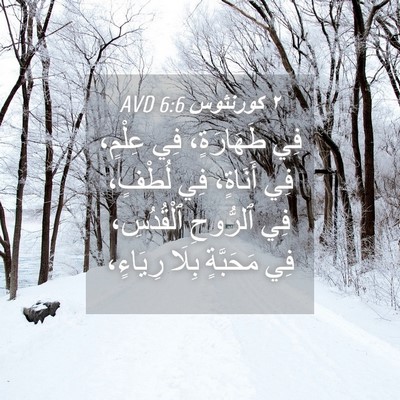Picture 04 - ٢ كورنثوس 6:6 AVD - فِي طَهَارَةٍ، فِي عِلْمٍ، - Bible Verse Picture