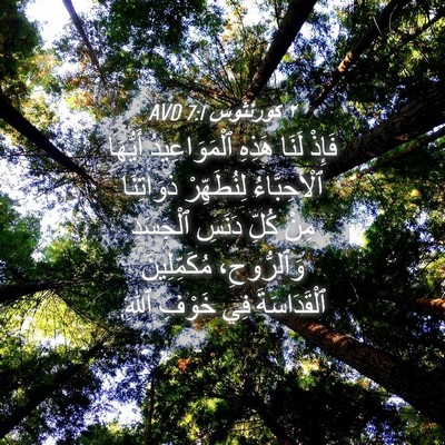 Picture 04 - ٢ كورنثوس 7:1 AVD - فَإِذْ لَنَا هَذِهِ - Bible Verse Picture