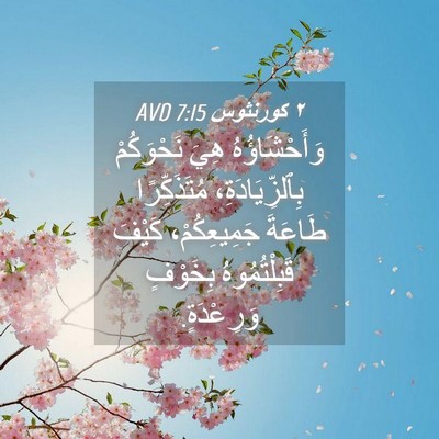 Picture 04 - ٢ كورنثوس 7:15 AVD - وَأَحْشَاؤُهُ هِيَ - Bible Verse Picture