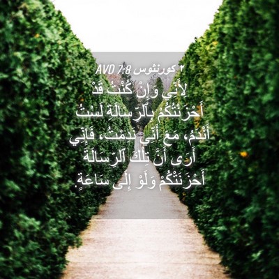 Picture 04 - ٢ كورنثوس 7:8 AVD - لِأَنِّي وَإِنْ كُنْتُ - Bible Verse Picture