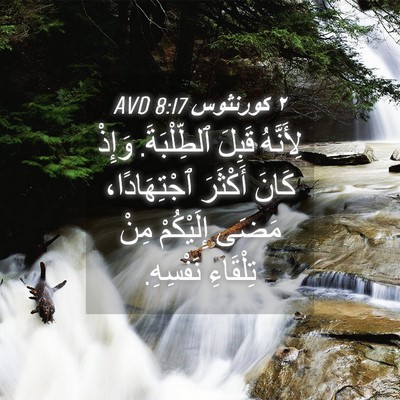 Picture 04 - ٢ كورنثوس 8:17 AVD - لِأَنَّهُ قَبِلَ - Bible Verse Picture