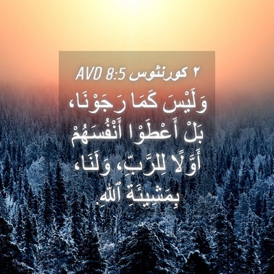 Picture 04 - ٢ كورنثوس 8:5 AVD - وَلَيْسَ كَمَا رَجَوْنَا، - Bible Verse Picture