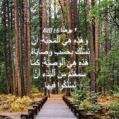 Picture 04 - ٢ يوحنَّا 1:6 AVD - وَهَذِهِ هِيَ - Bible Verse Picture